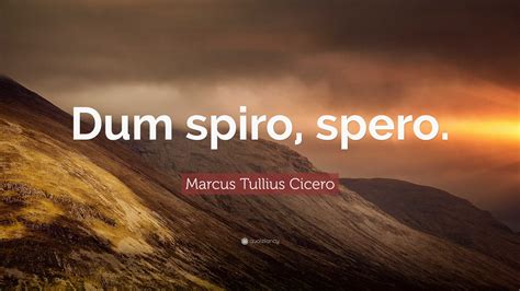 spxido|Sparxo.